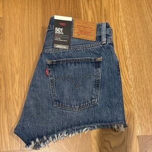 Levi's Blue Denim Cutoff Shorts